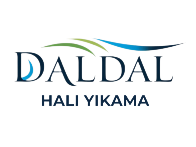 Daldal Halı Yıkama